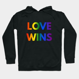 Love Wins Hoodie